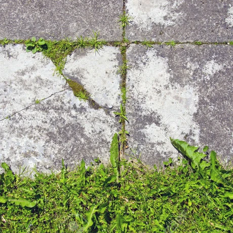Jak można usunąć beton z ogrodu?