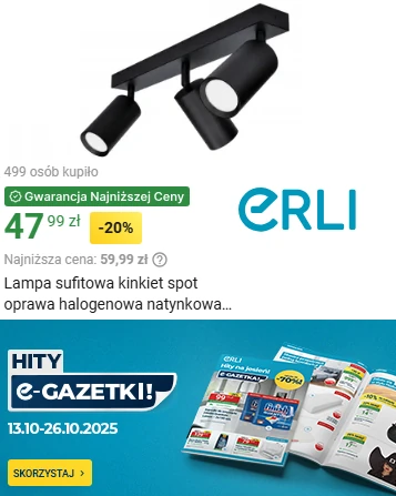 Erli - promocja do 26.10 na lampy