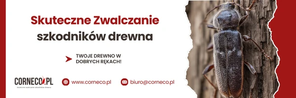 Dom jednorodzinny zabezpieczony folią na dachu podczas przygotowania do fumigacji